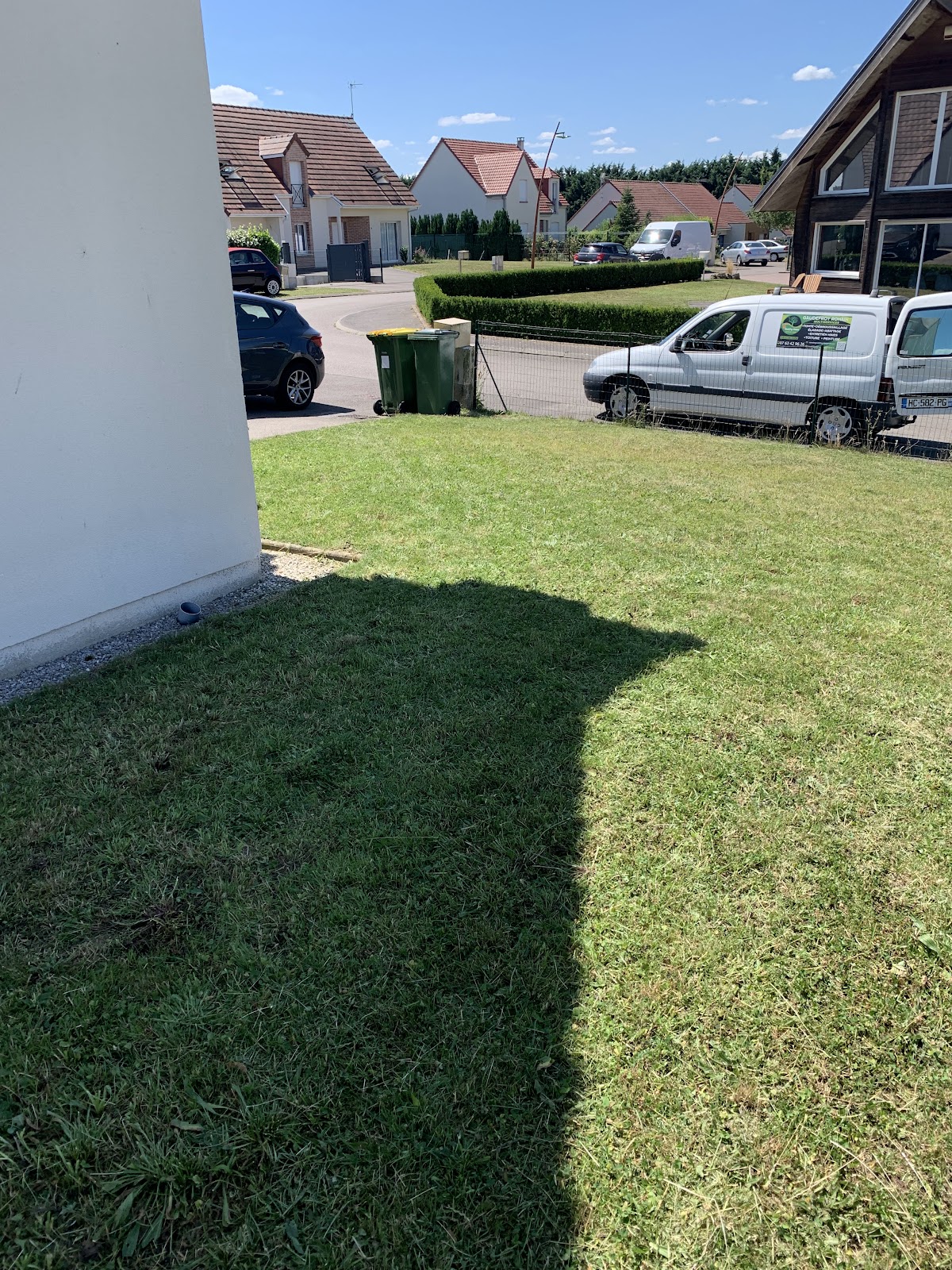 Abattage d'arbre sécurisé