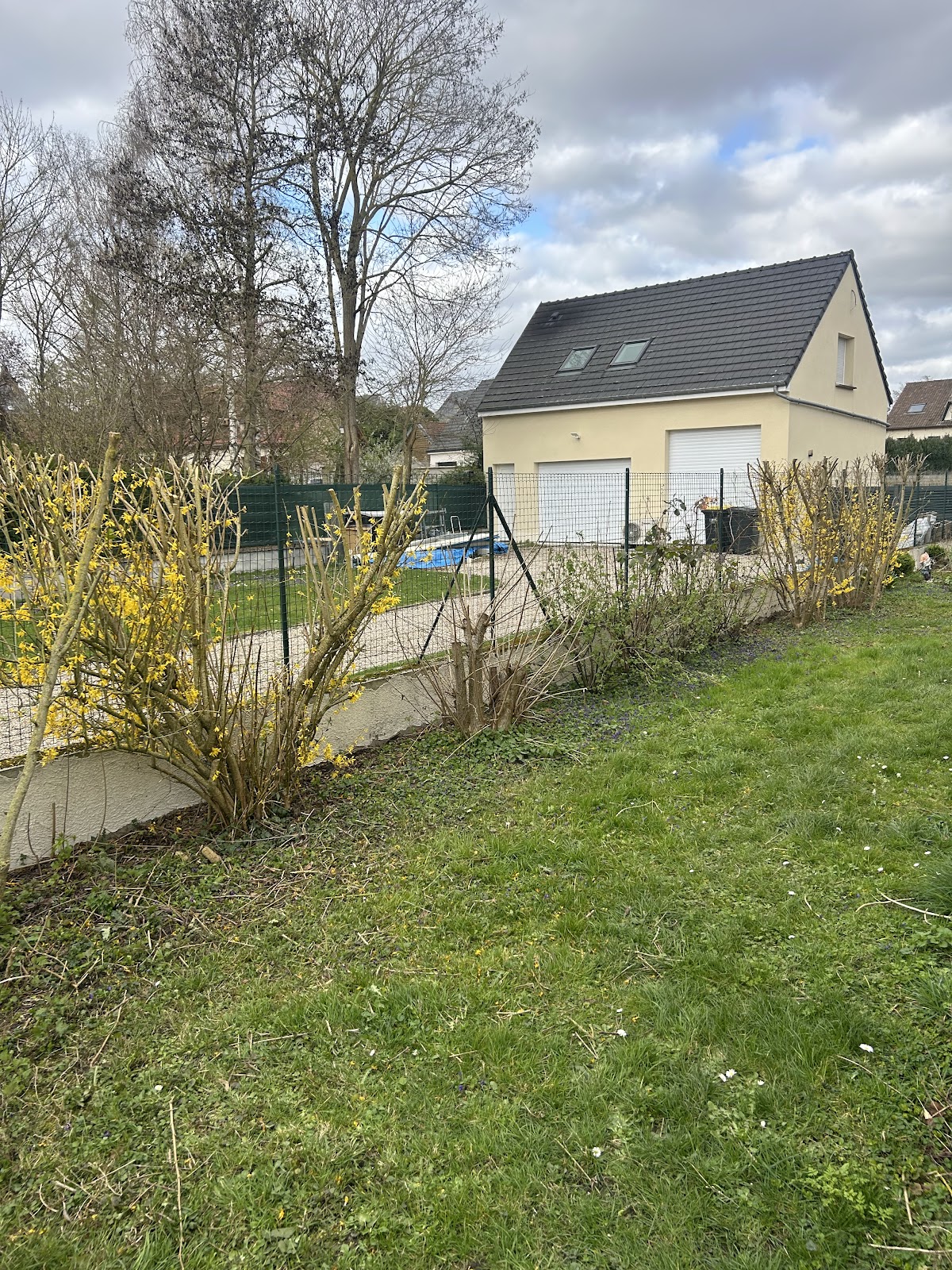 Nettoyage de toiture - démoussage